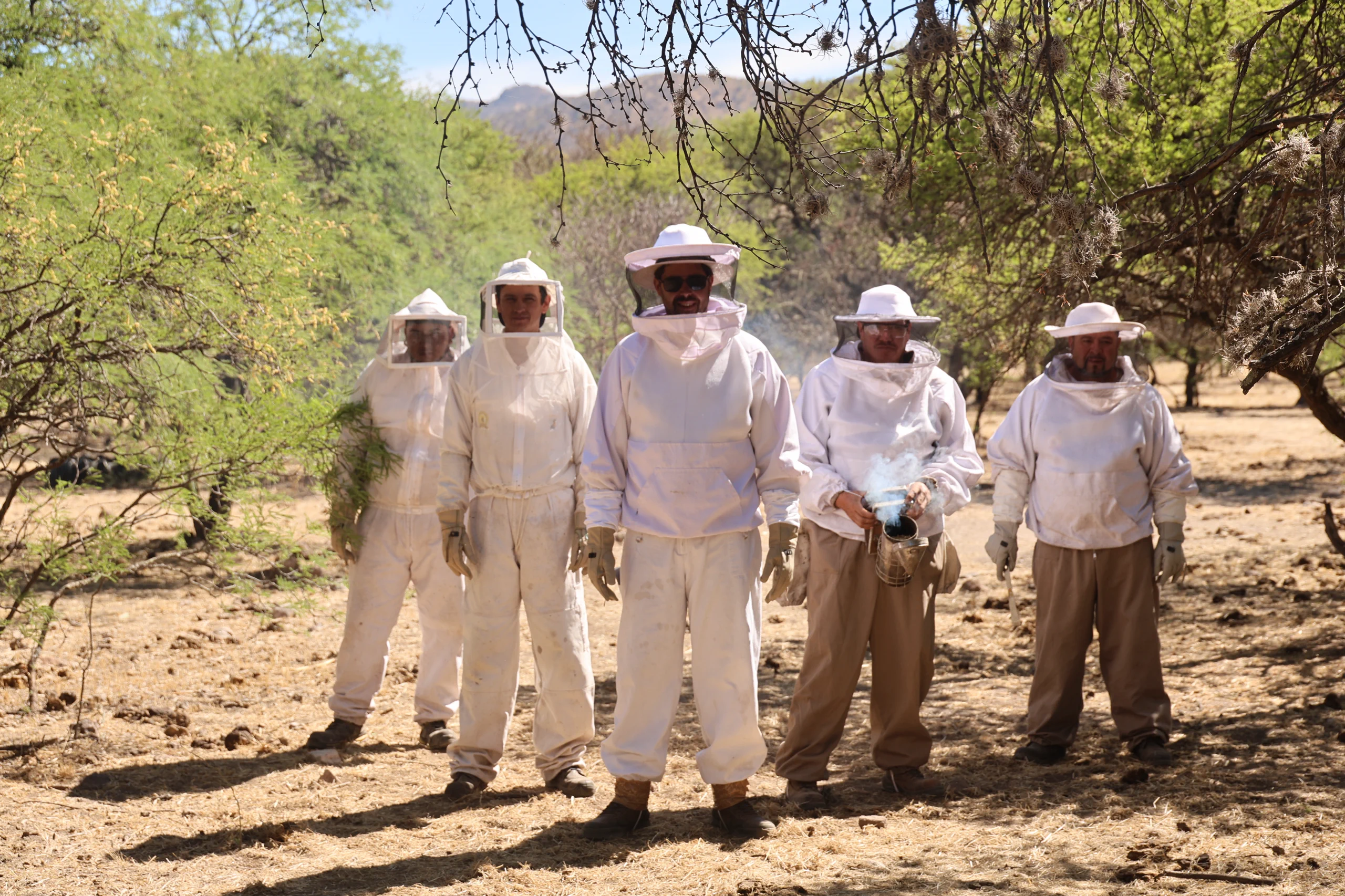 Equipo de apicultura de Miel Silvestre Saravia trabajando entre colmenas en Durango